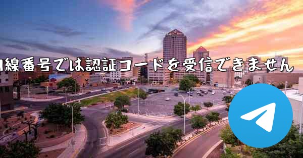 紙飛行機の国内線番号では認証コードを受信できません