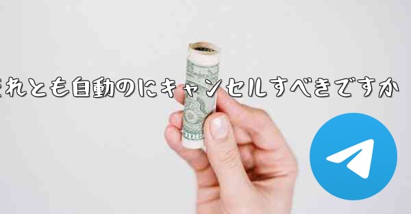 紙飛行機は自分でキャンセルするべきですかそれとも自動のにキャンセルすべきですか