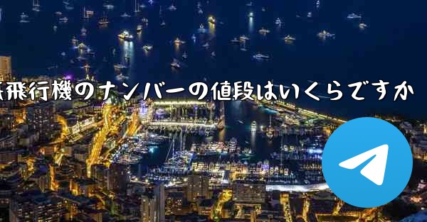 紙飛行機のナンバーの値段はいくらですか