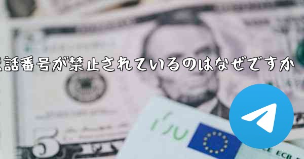 Paper Plane の携帯電話番号が禁止されているのはなぜですか