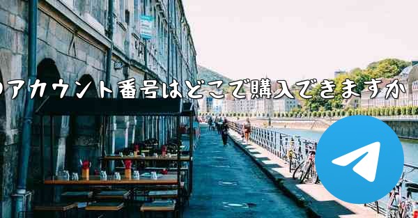 紙飛行機のアカウント番号はどこで購入できますか
