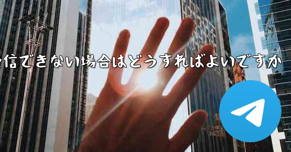 Paper Plane で SMS 認証コードを受信できない場合はどうすればよいですか