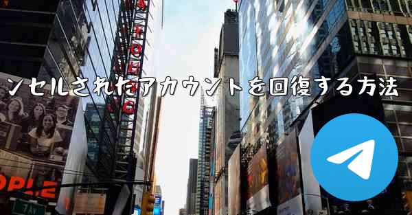 Paper Planeのキャンセルされたアカウントを回復する方法