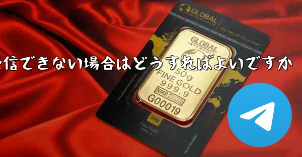 Paper Plane が国内で認証コードを受信できない場合はどうすればよいですか