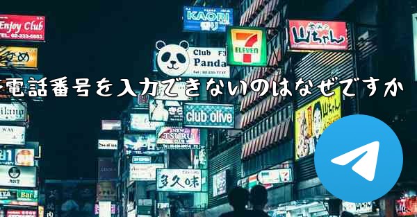 Paper Plane の携帯電話番号を入力できないのはなぜですか