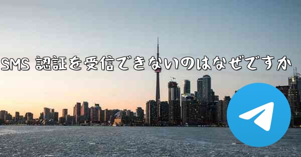 Paper Plane が SMS 認証を受信できないのはなぜですか