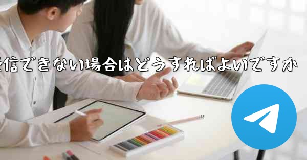 Paper Plane の携帯電話番号でテキスト メッセージを受信できない場合はどうすればよいですか