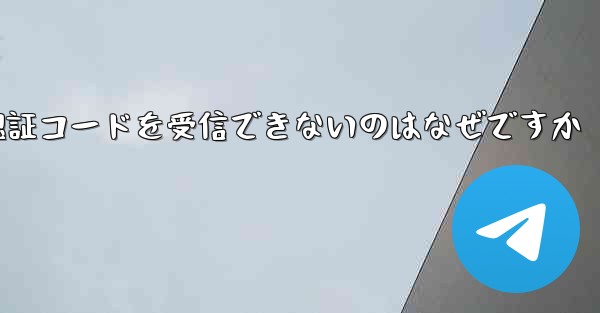 Paper Plane が認証コードを受信できないのはなぜですか