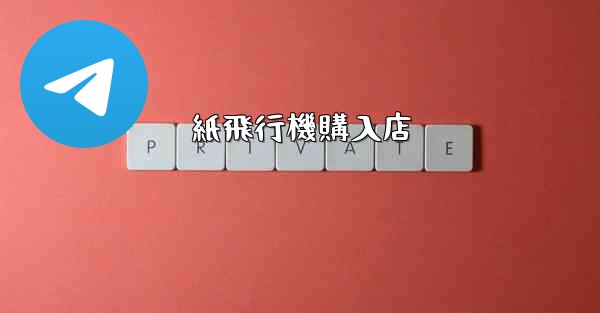 紙飛行機購入店