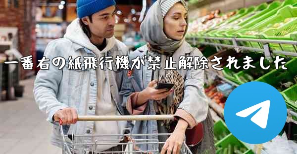 一番右の紙飛行機が禁止解除されました