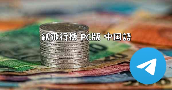 紙飛行機 PC版 中国語