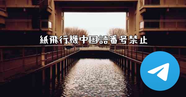 紙飛行機中国語番号禁止