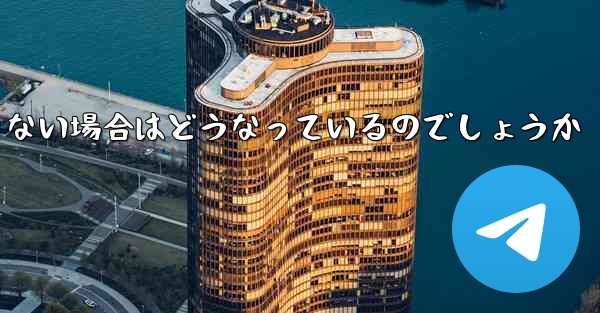 Paper Plane が SMS 認証コードを受信できない場合はどうなっているのでしょうか