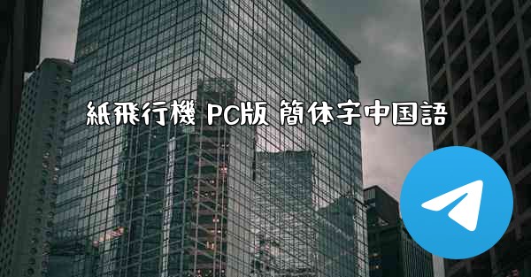 紙飛行機 PC版 簡体字中国語