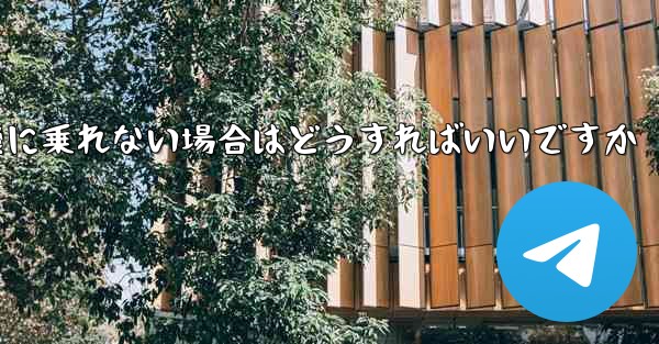本来の番号の紙飛行機に乗れない場合はどうすればいいですか