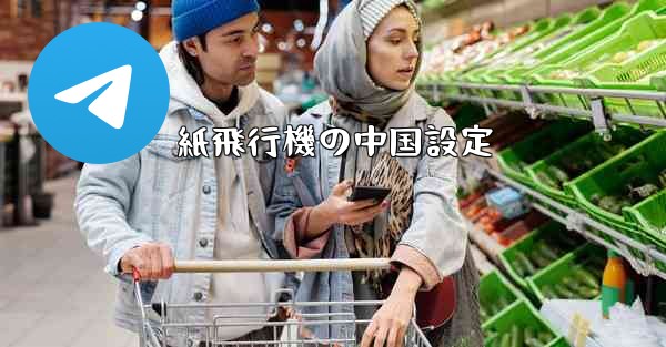 紙飛行機の中国設定