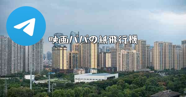 映画パパの紙飛行機