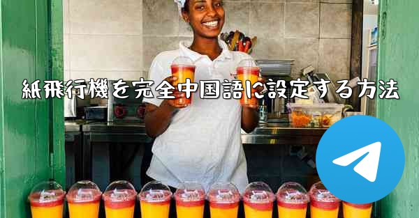 紙飛行機を完全中国語に設定する方法