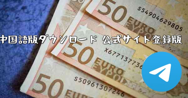 Paper Plane 中国語版ダウンロード 公式サイト登録版