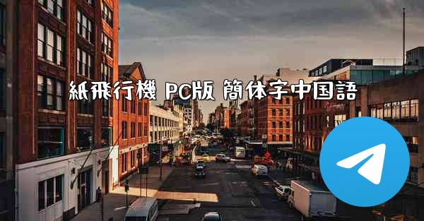 紙飛行機 PC版 簡体字中国語