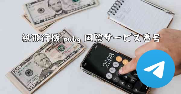 紙飛行機 pubg 国際サービス番号