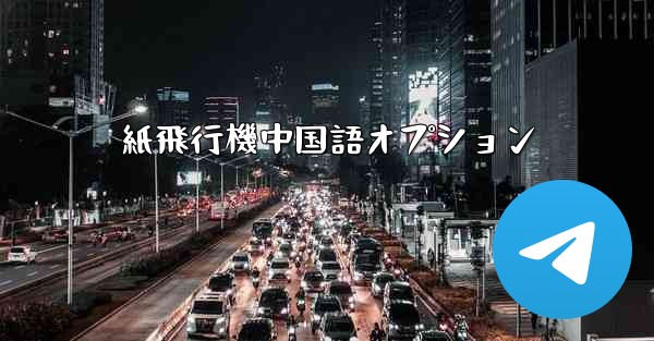 紙飛行機中国語オプション