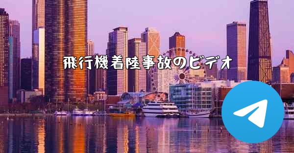 飛行機着陸事故のビデオ