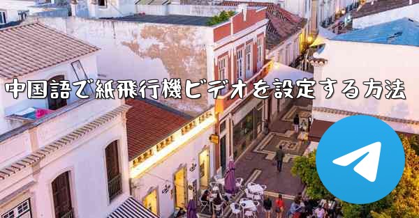 中国語で紙飛行機ビデオを設定する方法