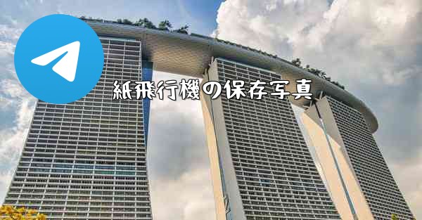 紙飛行機の保存写真