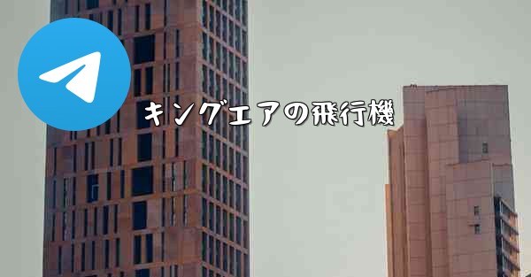 キングエアの飛行機