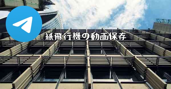 紙飛行機の動画保存
