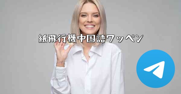 紙飛行機中国語ワッペン