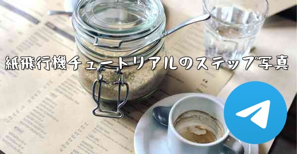 紙飛行機チュートリアルのステップ写真