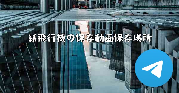 紙飛行機の保存動画保存場所