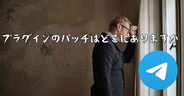 Paper Plane プラグインのパッチはどこにありますか