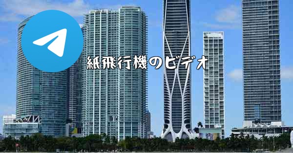 紙飛行機のビデオ