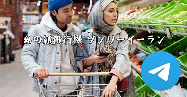 私の紙飛行機 ソンリーイーラン