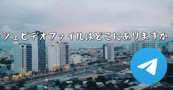 Paper Plane のキャッシュビデオファイルはどこにありますか