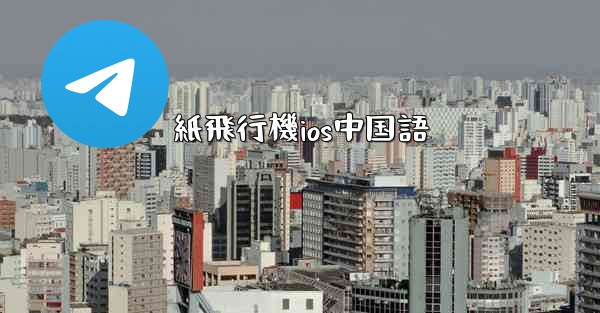 紙飛行機ios中国語