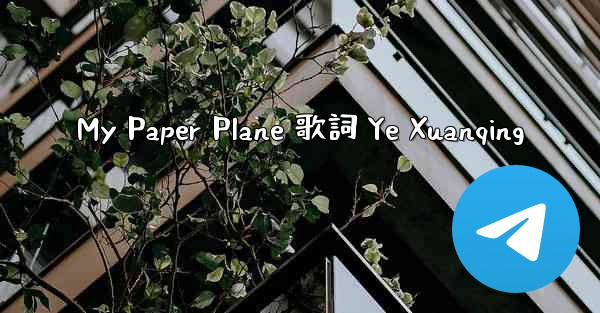 My Paper Plane 歌詞 Ye Xuanqing