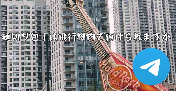 麺切り包丁は飛行機内で預けられますか