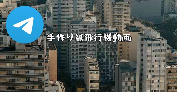 手作り紙飛行機動画