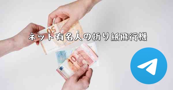 ネット有名人の折り紙飛行機