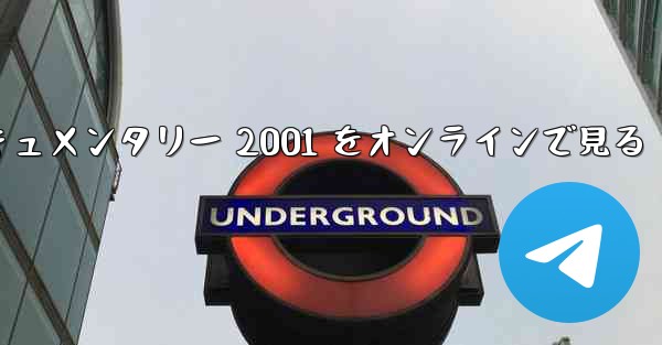 紙飛行機のドキュメンタリー 2001 をオンラインで見る