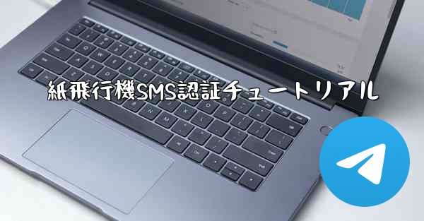 紙飛行機SMS認証チュートリアル