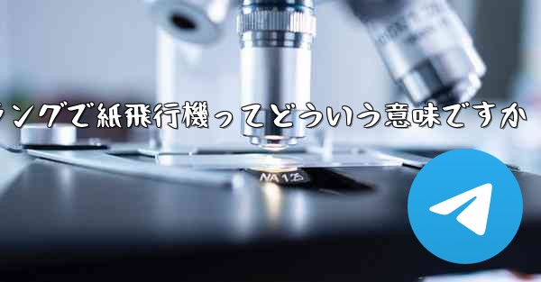 ネットスラングで紙飛行機ってどういう意味ですか