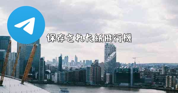 保存された紙飛行機