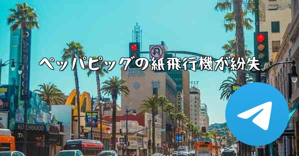 ペッパピッグの紙飛行機が紛失