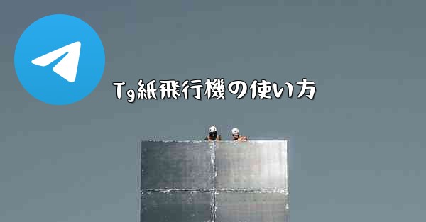 Tg紙飛行機の使い方