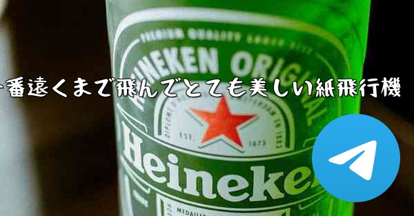 一番遠くまで飛んでとても美しい紙飛行機